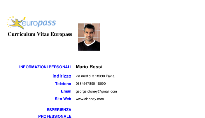 Curriculum vitae